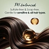 Biotin Hair Shampoo